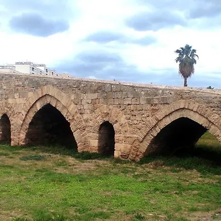 Di Nick Corso Dei Mille 175 * 팔레르모